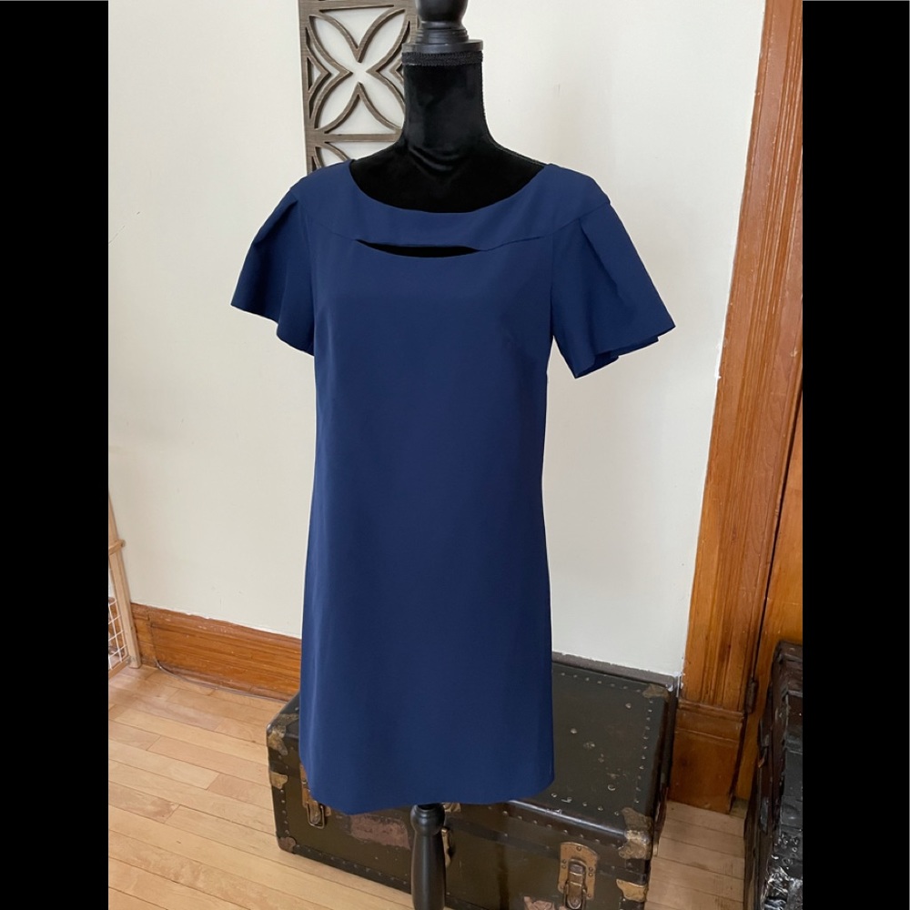 Navy Blue Shift Dress - Picture 2 of 8